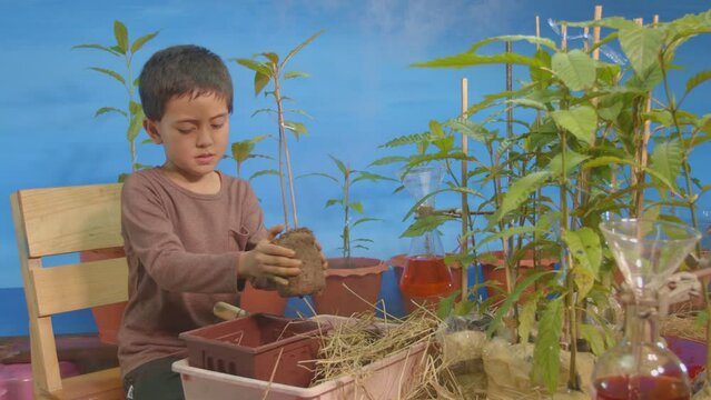 boy planting a plant in a pot in a tree nursery with happy smile..The boy sat on a wooden chair happily eating sweets in the barn..nature Cultivate a love of the world green tree concept..