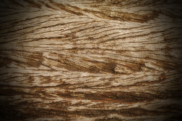 Surface wooden texture and background.