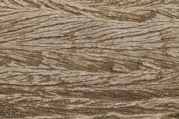 Surface wooden texture and background.