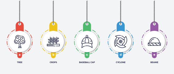 infographic element template with season outline icons such as tree, crops, baseball cap, cyclone, beanie vector.