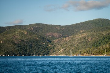 tourism in a tropical island in summer on the ocean in the great barrier reef queensland