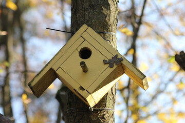 bird house on tree