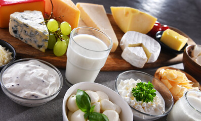 A variety of dairy products including cheese, milk and yogurt
