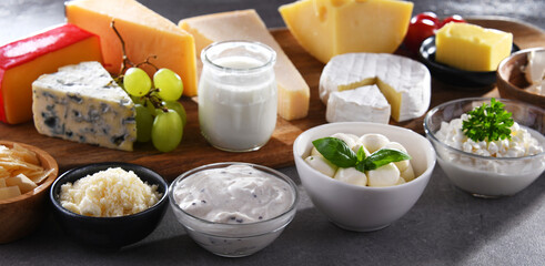 A variety of dairy products including cheese, milk and yogurt