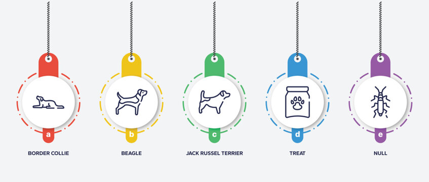 Infographic Element Template With Dog And Training Outline Icons Such As Border Collie, Beagle, Jack Russel Terrier, Treat, Null Vector.