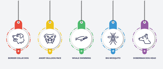 infographic element template with woof woof outline icons such as border collie dog head, angry bulldog face, whale swimming, big mosquito, doberman dog head vector.