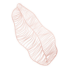 Rose Gold Banana Leaf Outlined