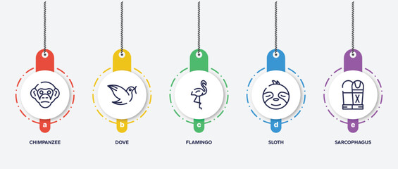 infographic element template with desert outline icons such as chimpanzee, dove, flamingo, sloth, sarcophagus vector.