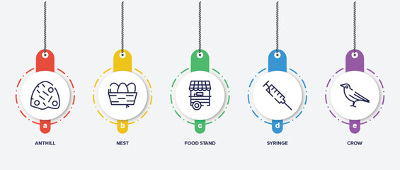 infographic element template with birds outline icons such as anthill, nest, food stand, syringe, crow vector.