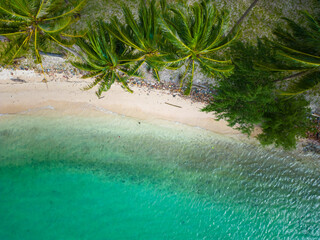 Aerial view of beautiful coconut palm white sand beach sunny day on tropical beach summer vacation