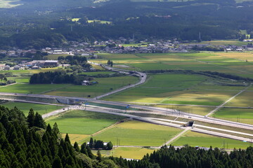 田舎の道路