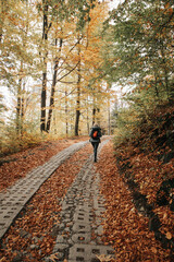 Fototapeta premium Górski szlak jesienią