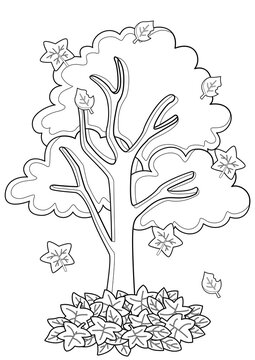 Autumn Tree Nature  Coloring Pages A4 for Kids and Adult