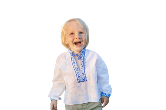 Cute little happy smiling laughing blond child kid boy in embroidered shirt in wheat field.Ukraine's national culture, Independence,Flag,Constitution,Kiev day