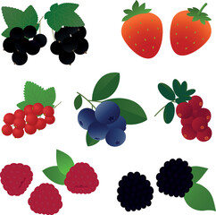 葉のついたベリー類（いちご、ラズベリー、ブルーベリーなど）のベクターイラスト