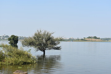 Natural scenic beauty of Bhopal Madhya Pradesh