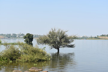 Natural scenic beauty of Bhopal Madhya Pradesh