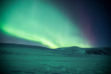 Naklejka premium Northern lights in Reinheim Cabin, Dovrefjell National Park, Norway
