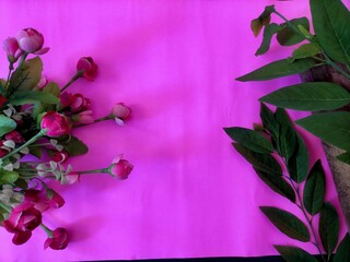 flowers and leaves on pink background