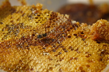 Layers of honeycomb stacked on top of each other and a bee.