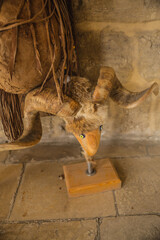 Schafkopf in der Karawanserei Büyük Han