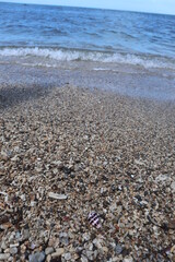 Fototapeta na wymiar finding shells on the beach design for abundance concept