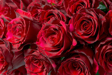 beautiful bouquet of dark red roses like floral background, close up