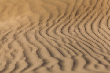 Sand ripples in the sand