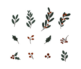 Fototapeta premium Christmas plants set