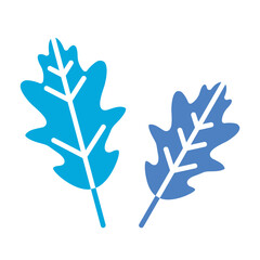 Fototapeta premium Oak Leaf Glyph Two Color Icon