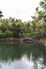 Stone bridge at Bano Grande Swim area in El Yunque National Forest, Puerto Rico