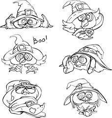 A set of Owls for Halloween. A black graphic drawing of a cartoon character-a fairy owl.An owl in a witch's hat. Isolated vector linear drawing on a white background.