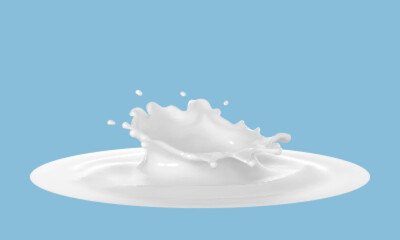 Milk splash isolated on blue background. Natural dairy product, yogurt or cream in crown splash with flying drops. Realistic vector illustration