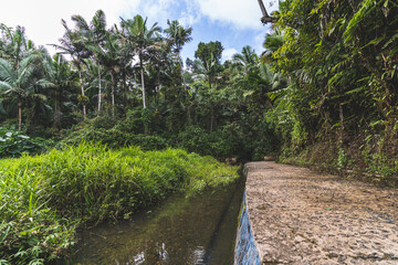 Abandon Bano Oro Swim area in El Yunque National Forest, Puerto Rico
