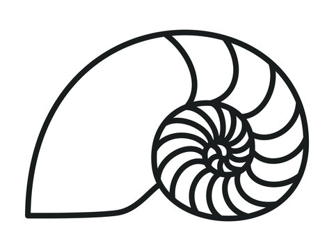 recommend clip art: Golden ratio image, nautilus silhouette