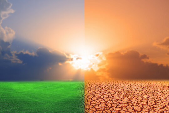 Comparative picture between drought, global warming effect and refreshing area. The concept of changing brushes. Love the world. Save the environment.