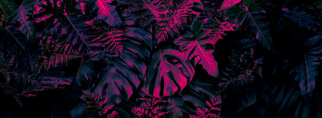 tropical leaves background, glow in the dark color toned.