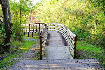 Beautiful wooden boardwalk in autumn