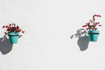 Andalusian turquoise flower pots with geraniums against a white wall