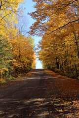 Country road in fall with great Foliage