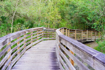 Beautiful wooden boardwalk in autumn