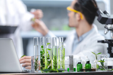 eco skin care beauty products in laboratory development concept, Natural drug research with organic...