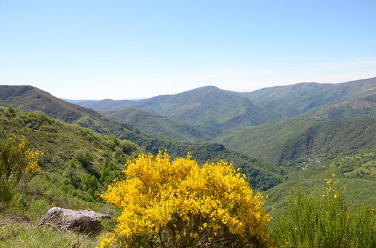 paisaje del Caurel