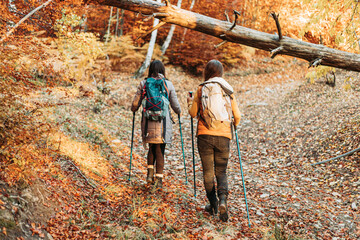 Two girls, hikers, walking through the autumn forest