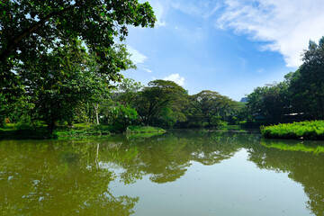 lake natural scenery with green trees and blue sky