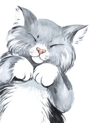 A small cute fluffy gray kitten folded its paws on its tummy. Pink nose. Grumbling with pleasure. Hand painted watercolor illustration. Colorful light sketchy drawing on white paper background PNG