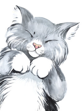 A Small Cute Fluffy Gray Kitten Folded Its Paws On Its Tummy. Pink Nose. Grumbling With Pleasure. Hand Painted Watercolor Illustration. Colorful Light Sketchy Drawing On White Paper Background PNG