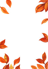 Dry autumn orange bright leaves. Autumn time. Leaf fall. Frame border decorative element. Hand painted watercolor on paper illustration. Colorful light cartoon drawing isolated on white background