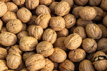 Lots of walnuts. Top view