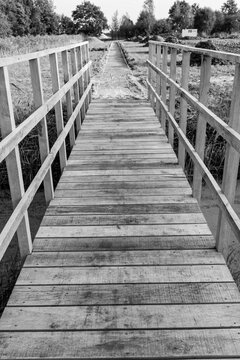 wooden bridge in the forest